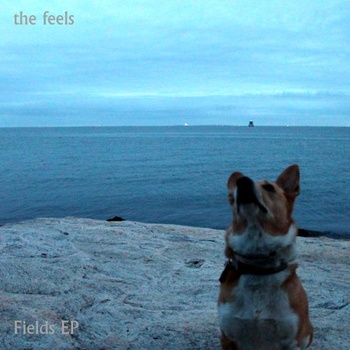 Fields Album